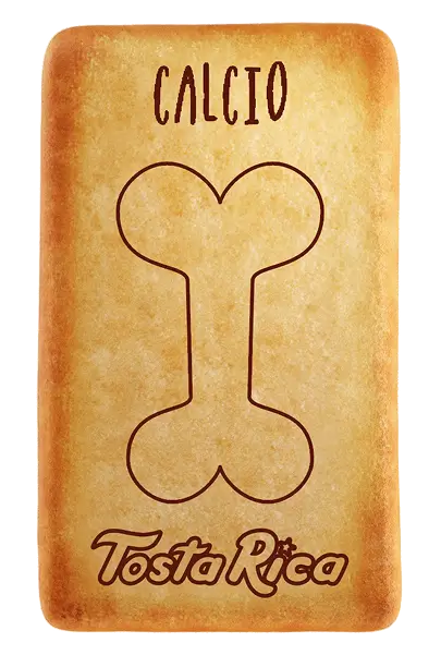 Calcio